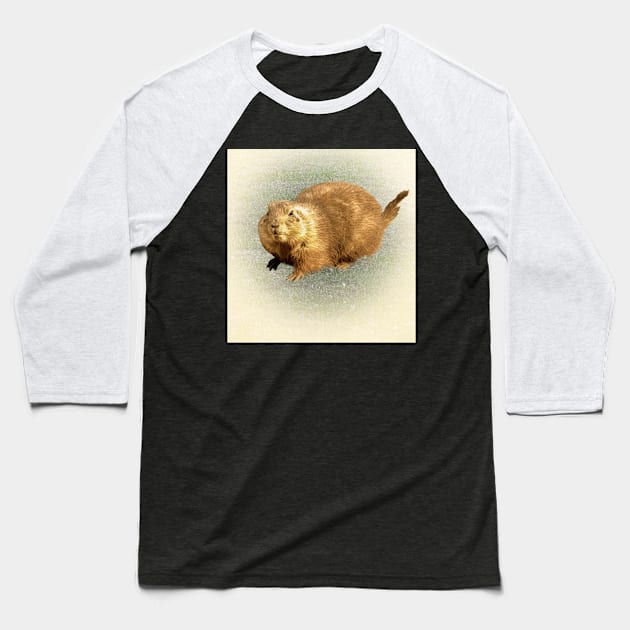 Prairie dog Baseball T-Shirt by Guardi